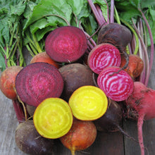 Load image into Gallery viewer, Brilliant Beet Blend

