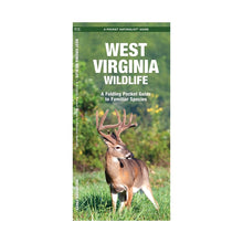 Load image into Gallery viewer, West Virginia Wildlife Trifold
