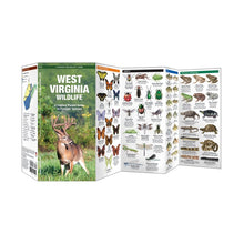 Load image into Gallery viewer, West Virginia Wildlife Trifold
