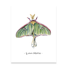 Load image into Gallery viewer, Luna Moth Watercolor Art Print
