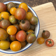 Load image into Gallery viewer, Bumble Bee Mix Cherry Tomato
