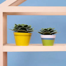 Load image into Gallery viewer, Make Your Own Mini Paper Succulent Plant
