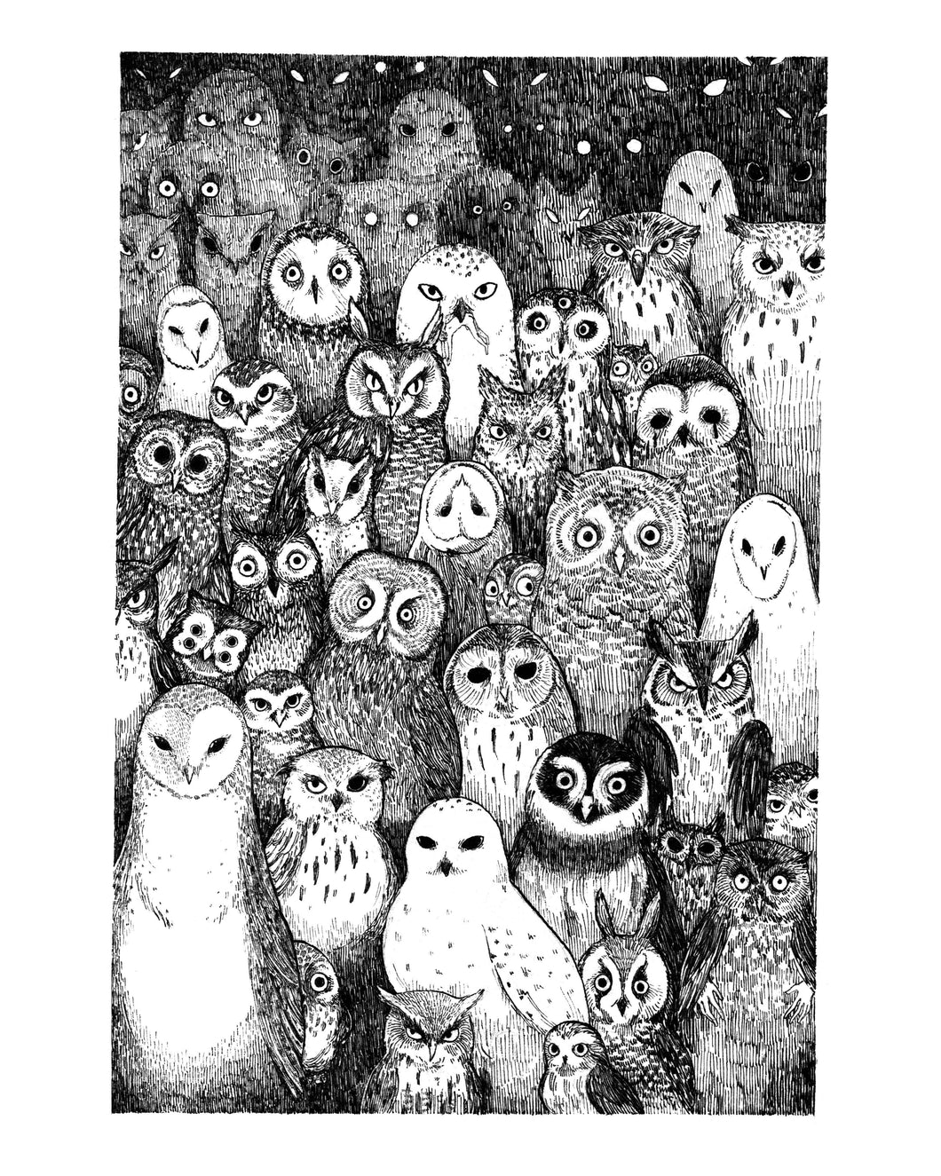 The Owls Are Not What They Seem - 8x10