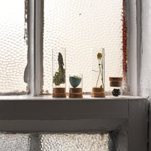 Load image into Gallery viewer, Specimen Collecting Kit
