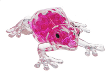 Load image into Gallery viewer, Beaded Squish and Squeeze Frogs
