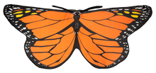 Load image into Gallery viewer, Kid's Monarch Butterfly Costume Cape
