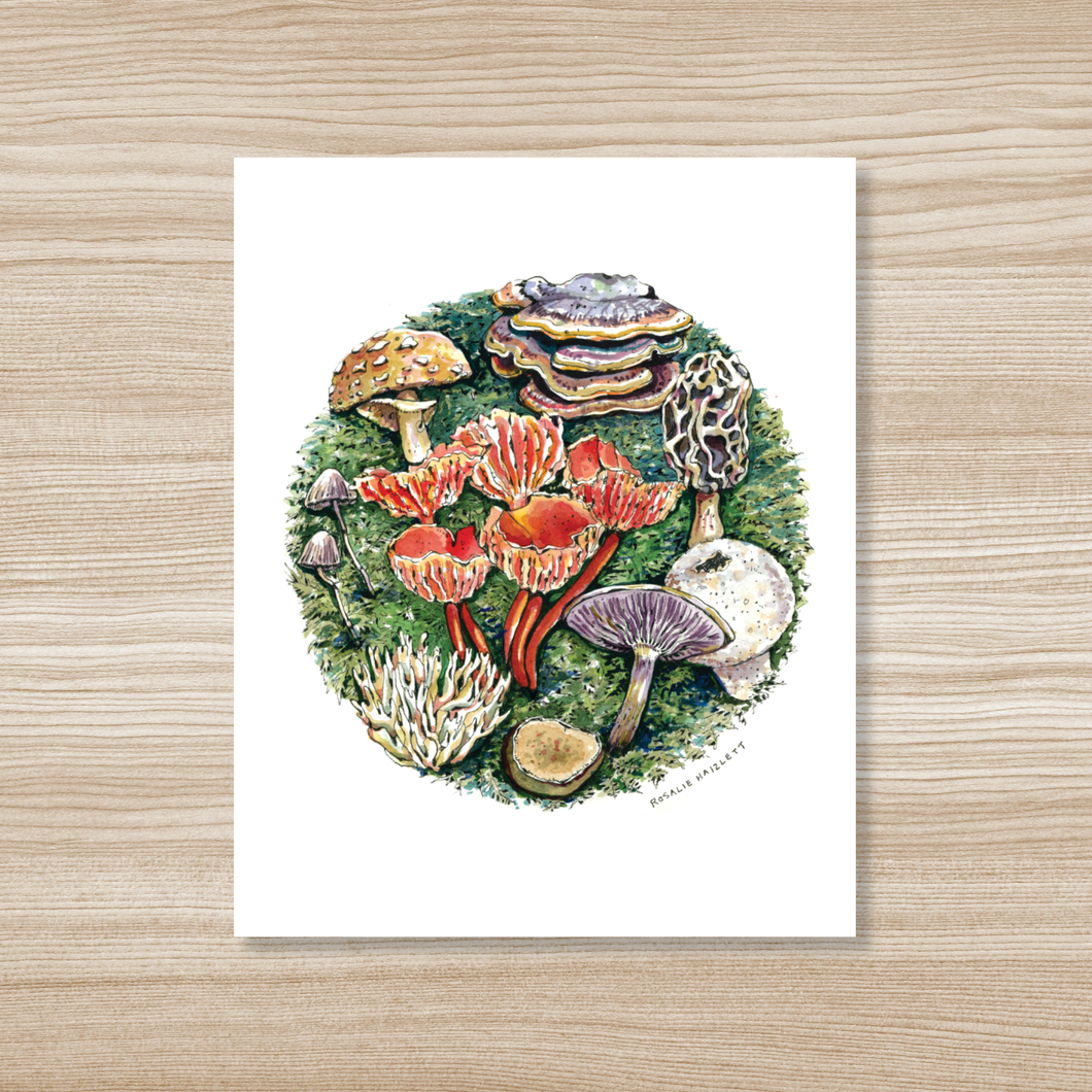 Forest Mushrooms Watercolor Art Print