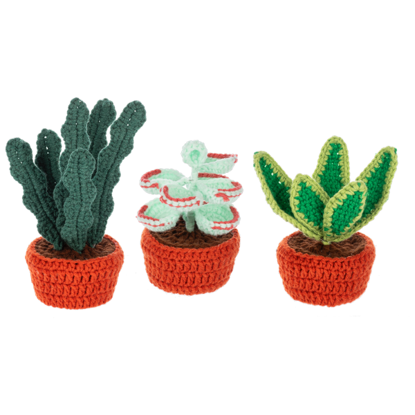 Crochet Succulent Plant Figurines