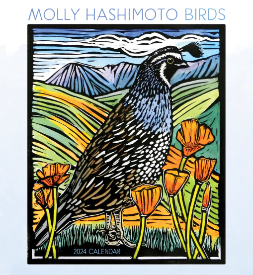 Molly Hashimoto: Birds 2024 Wall Calendar