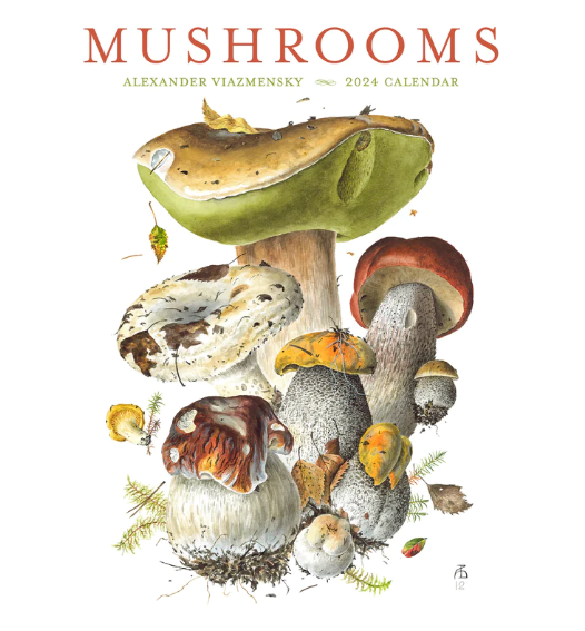 Mushrooms: Alexander Viazmensky 2024 Wall Calendar