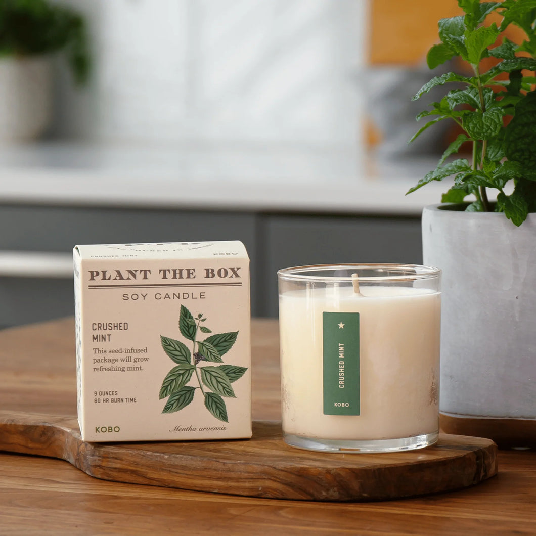 Crushed Mint Plant the Box Candle