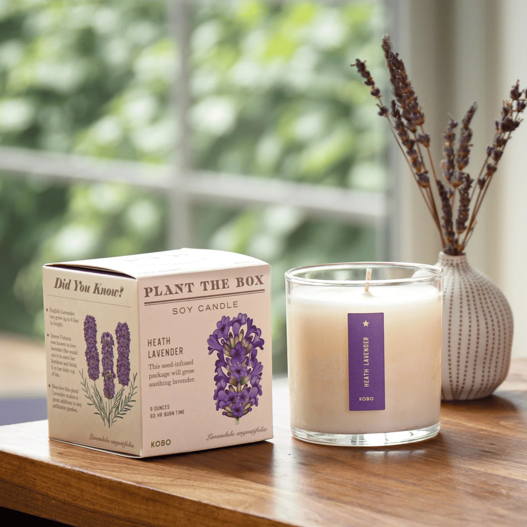 Heath Lavender Plant the Box Candle