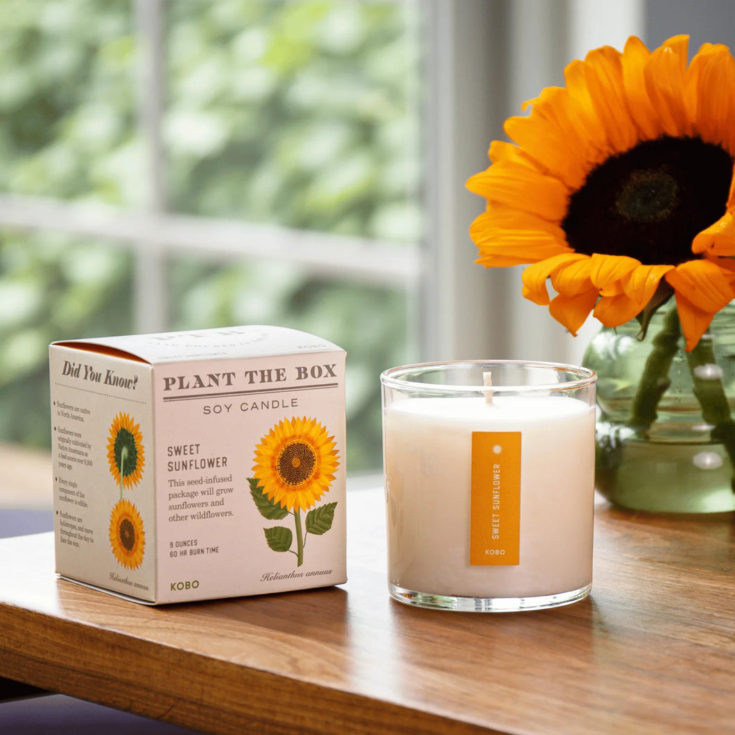Sweet Sunflower Plant the Box Candle