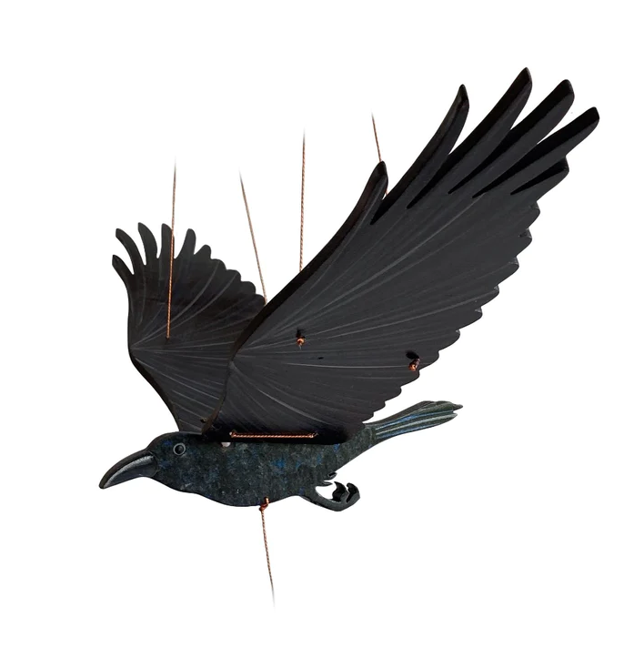 Raven Mobile