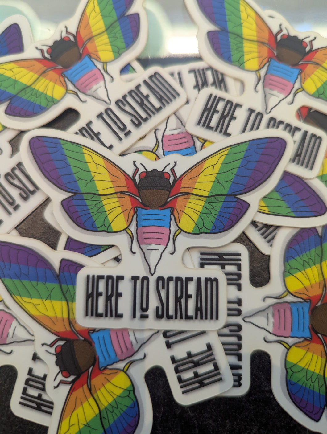 Pride Cicada 