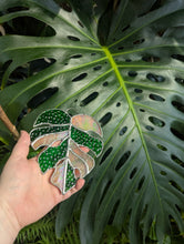 Load image into Gallery viewer, Stained Glass Monstera Leaf
