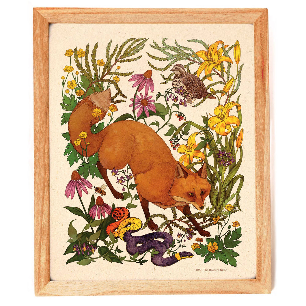 Woodland Meadow Print - Red Fox