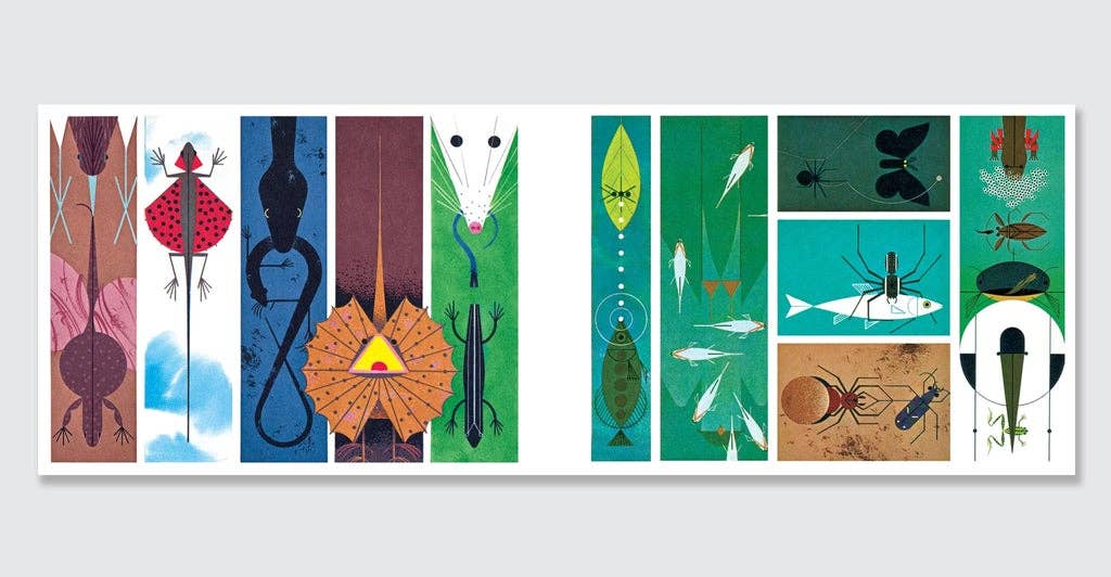 Charley Harper: An Illustrated Life – The Museum Store at the 
