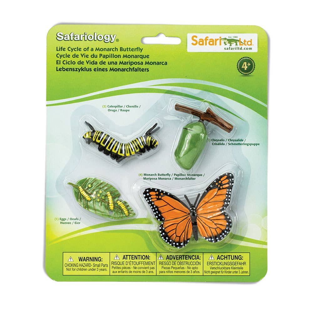 Life Cycle Of A Monarch Butterfly - 622616