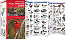 Load image into Gallery viewer, West Virginia Birds Trifold
