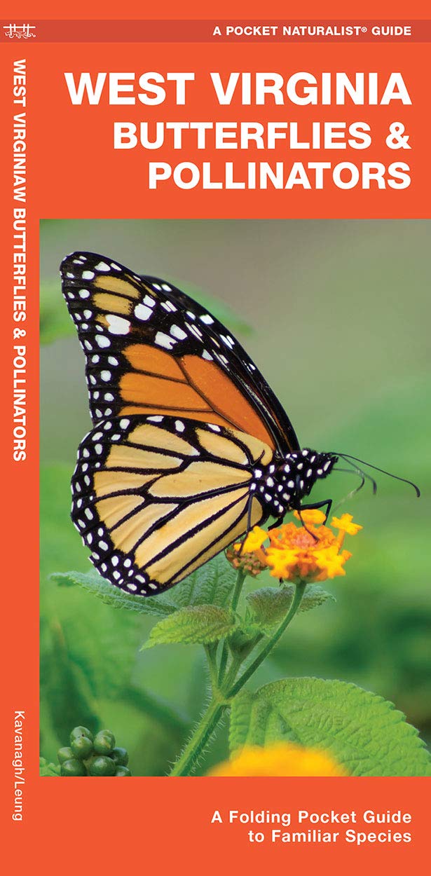 WV Butterflies & Pollinators Trifold