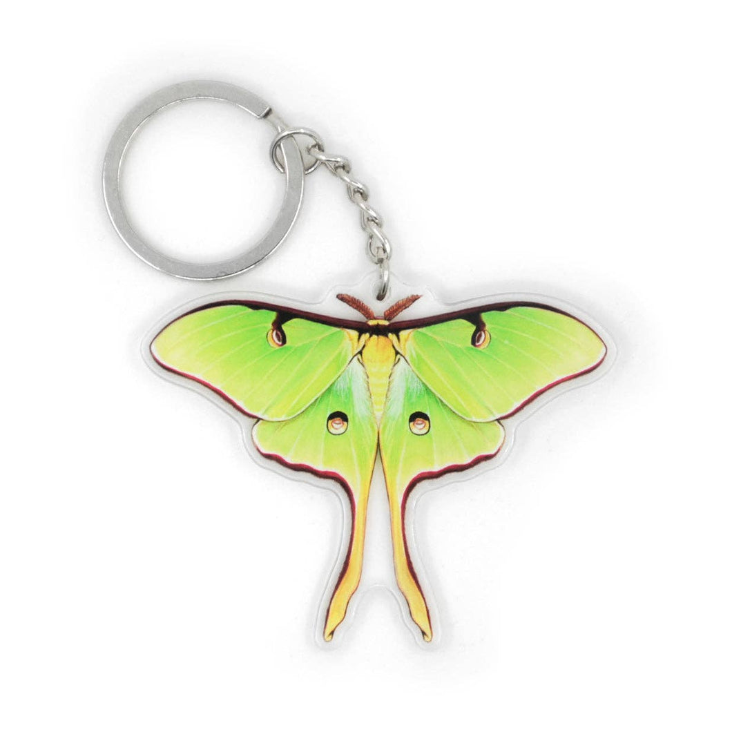 Luna Moth with Spread Wings Double-Sided Acrylic Keychain