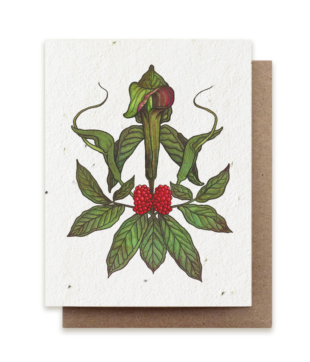 Jack-in-the-Pulpit & Green Dragon Plantable Herb Seed Card