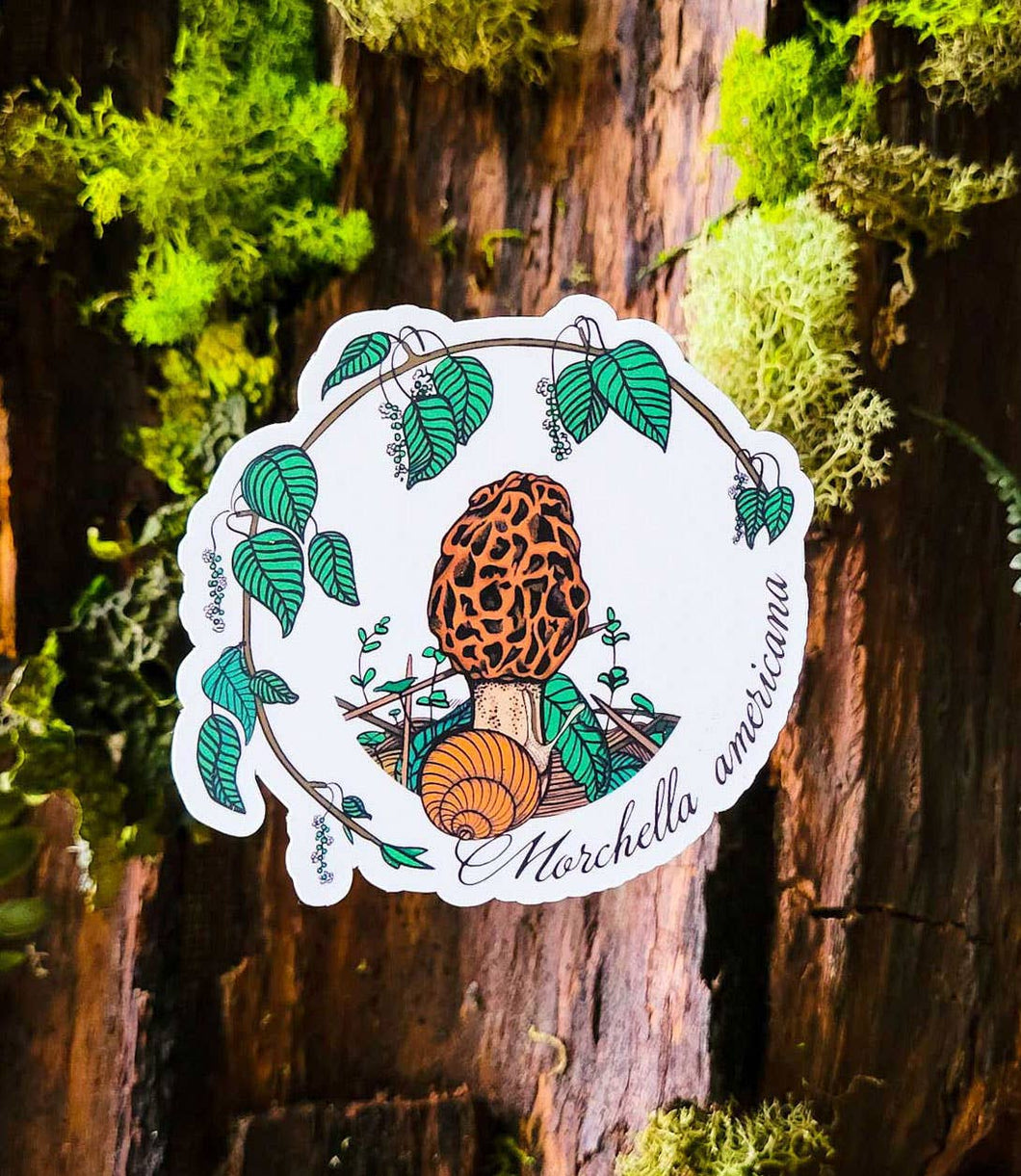 Morchella americana Mushroom Sticker