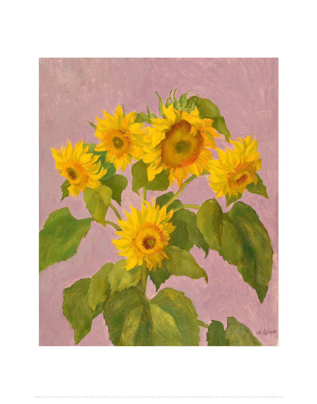 Sunflowers - Grimm Fine Art Print 11 x 14