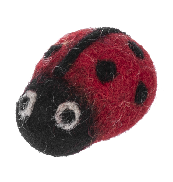 Whimsy Ladybug Tokens