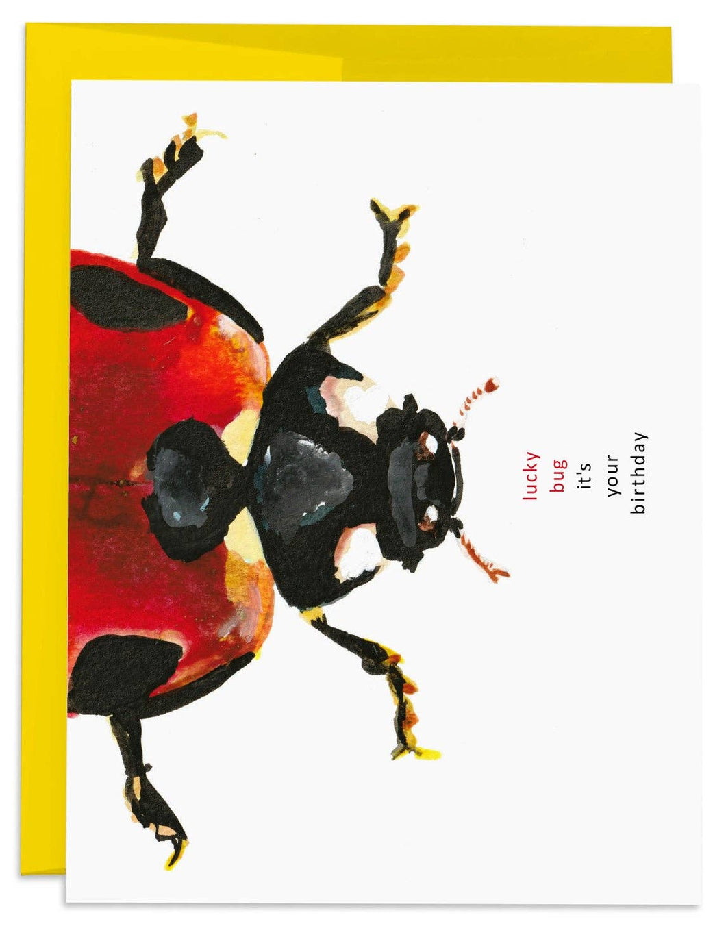 Lucky Ladybug Birthday Card