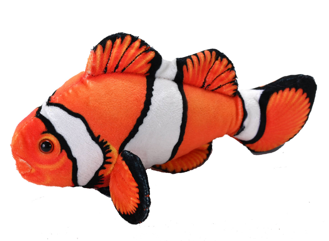CORAL REEF CLOWNFISH