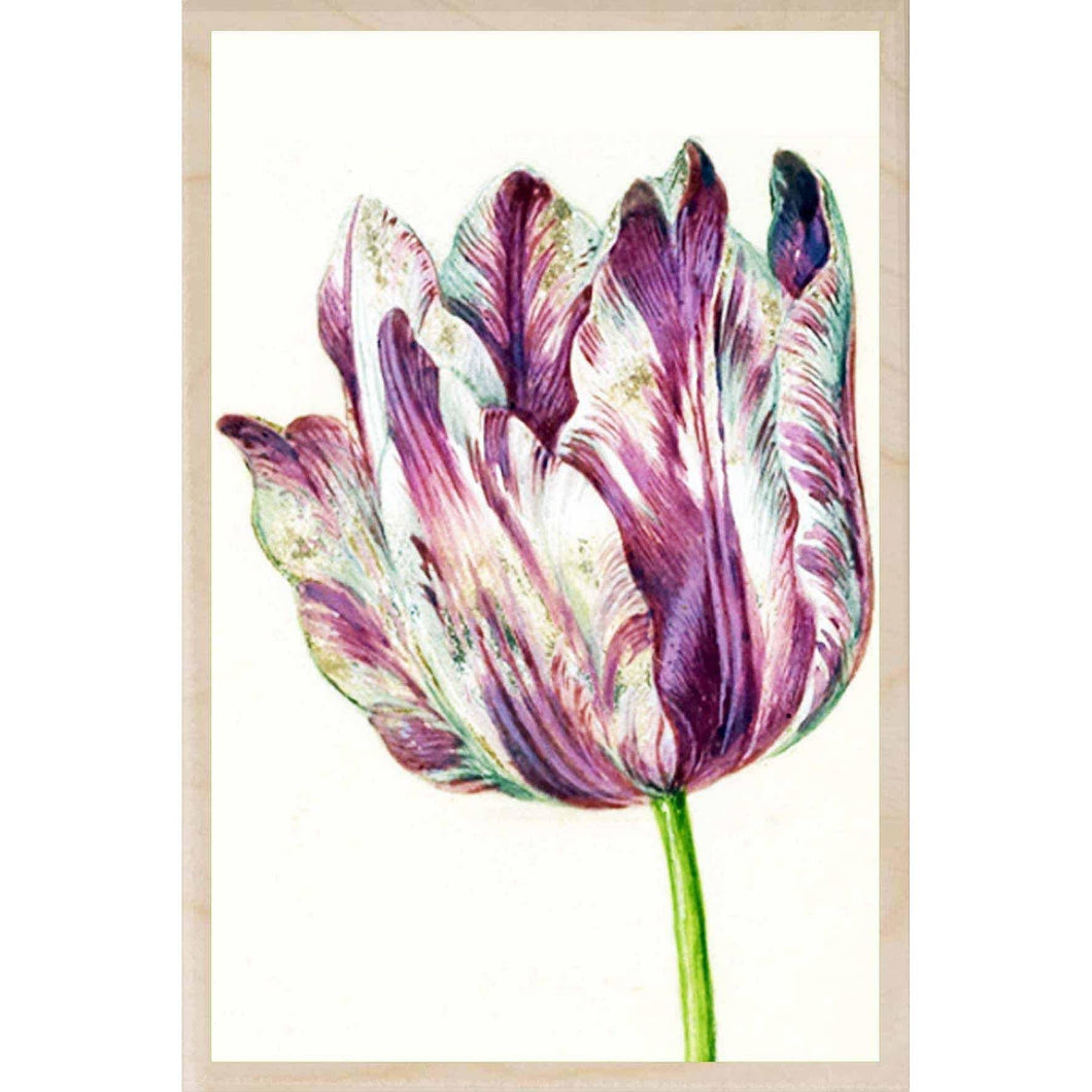 PINK TULIP Wood Postcard