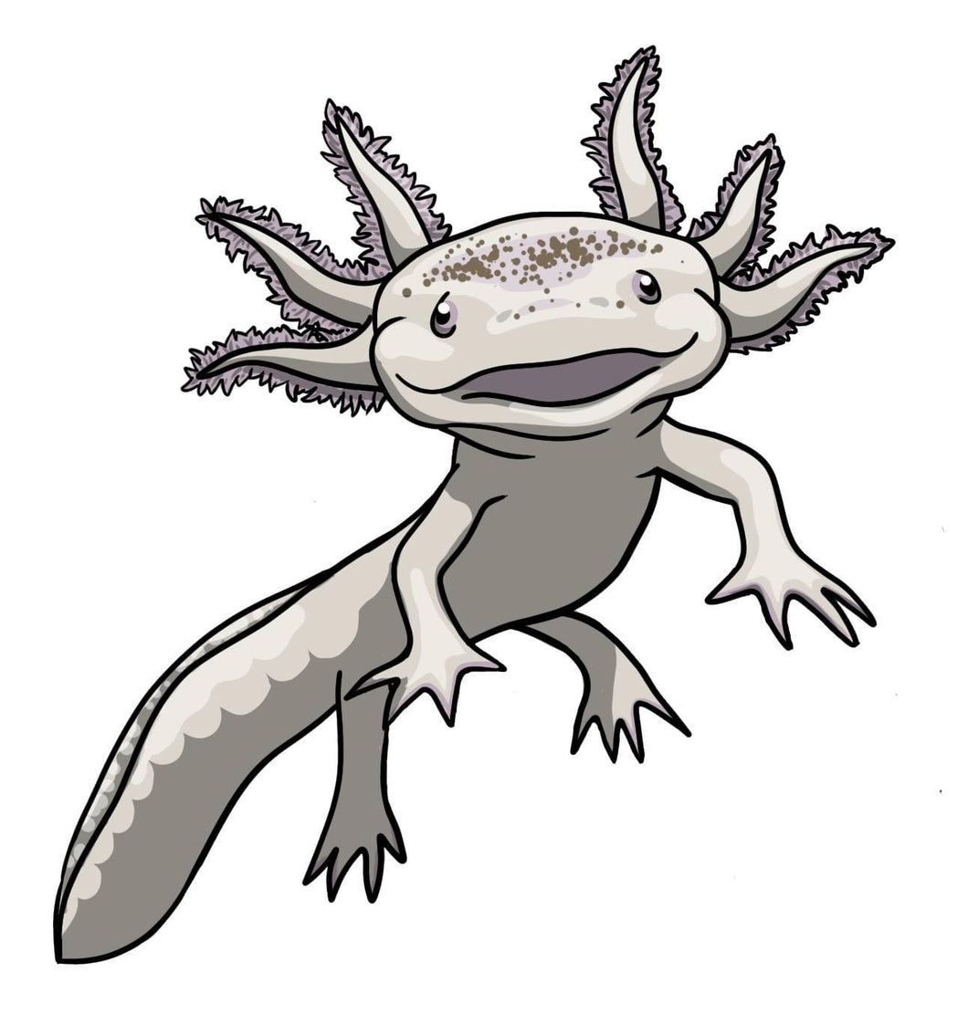 White Axolotl Sticker