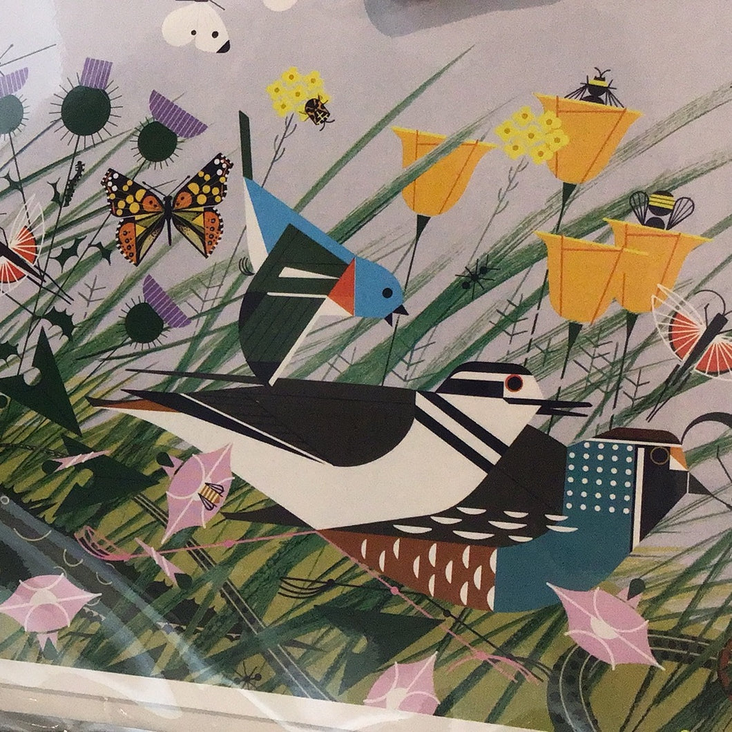 Charley Harper: Once There Was a Field Notecard