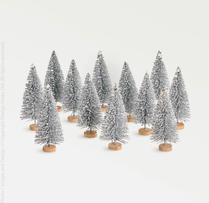 Silver Bottle Brush Trees with Snow